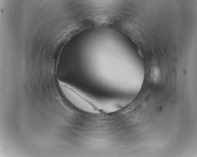 X0000089920710200706291129