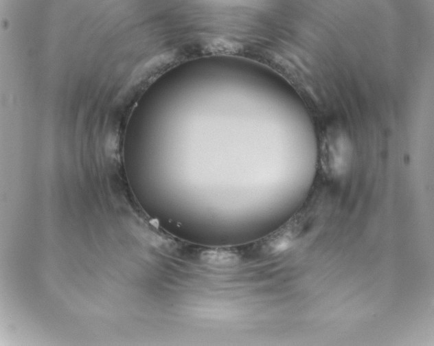 X0000089920714200706291129