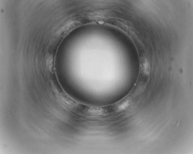 X0000089920767200706291129
