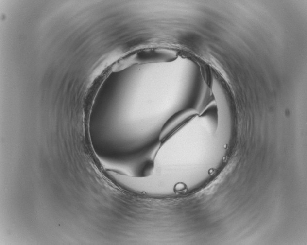 X0000089920781200706291128