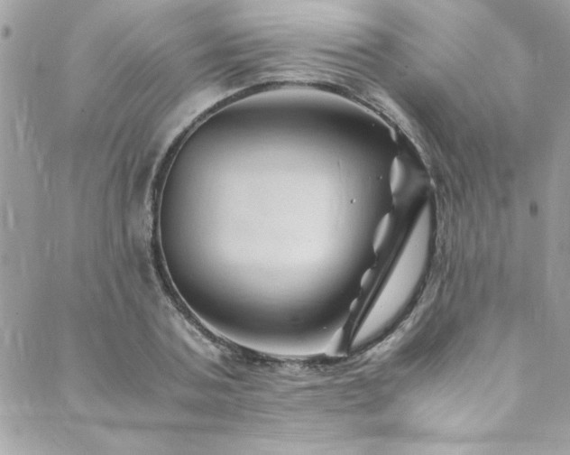 X0000089920787200706291128