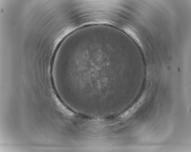 X0000089920797200706291127