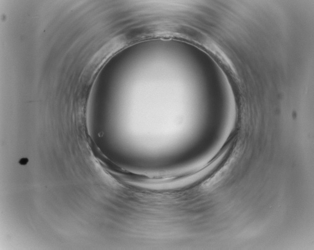 X0000089920801200706291127