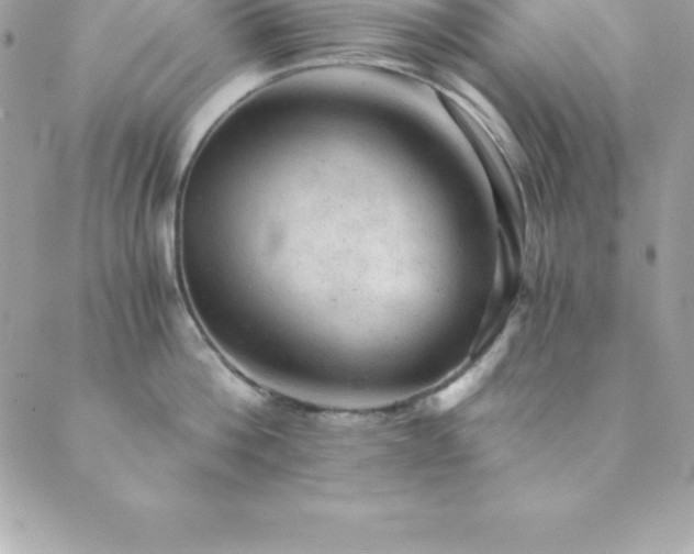 X0000089920812200706291127