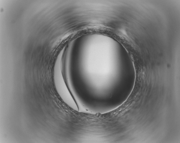 X0000089920822200706291126