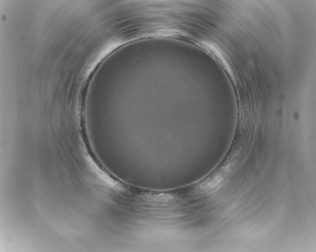 X0000089920851200706291127