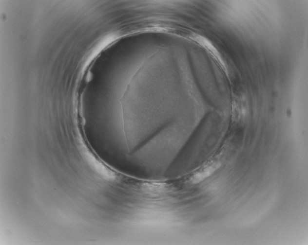 X0000089920859200706291127