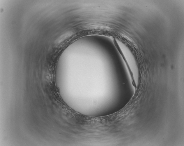 X0000089920869200706291126