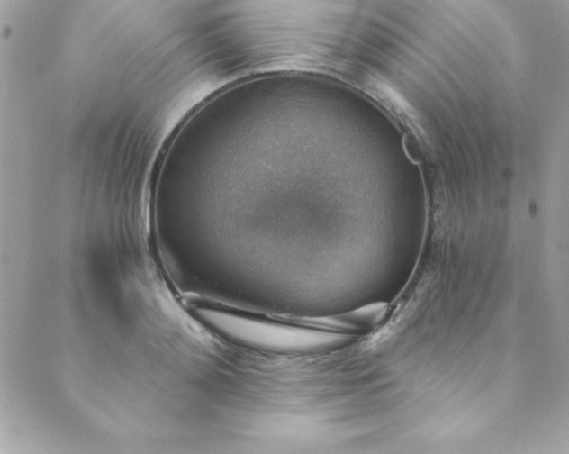 X0000089920892200706291126