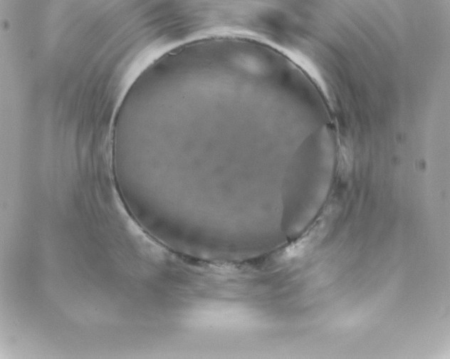 X0000089920911200706291126