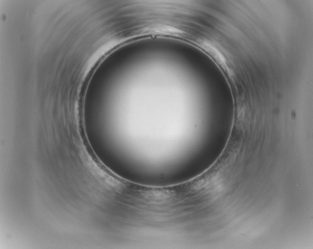 X0000089920947200706291125