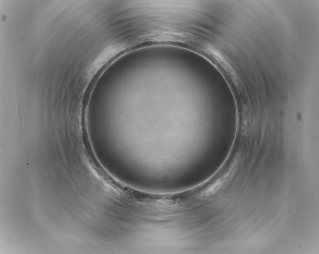 X0000089920986200706291124