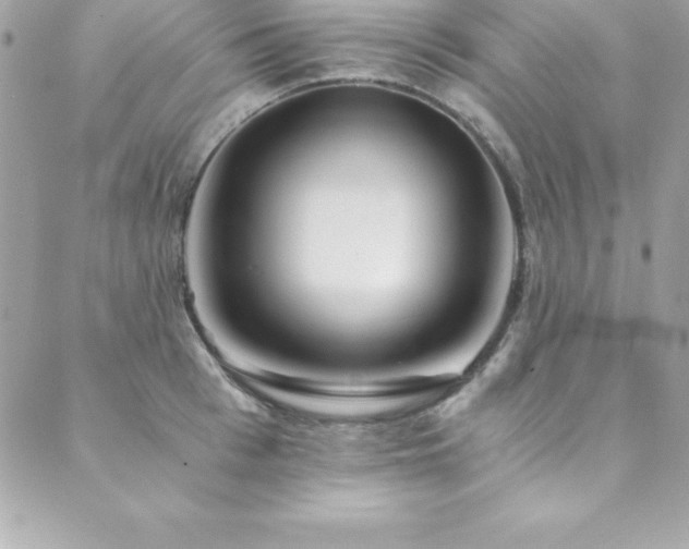 X0000089920993200706291124