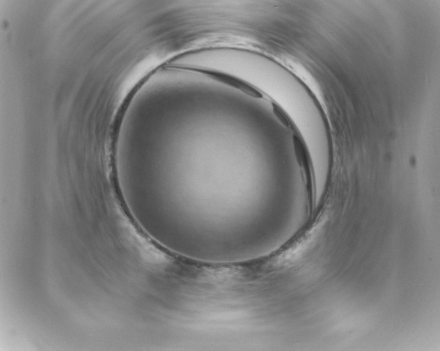 X0000089920997200706291124
