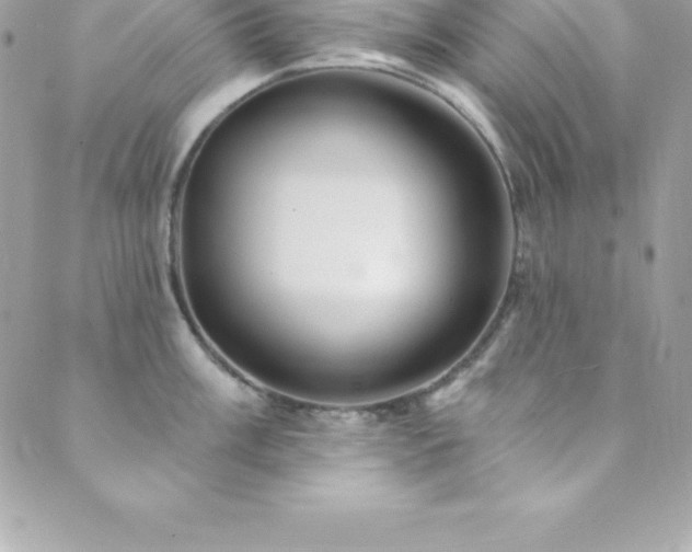 X0000089921003200706291124
