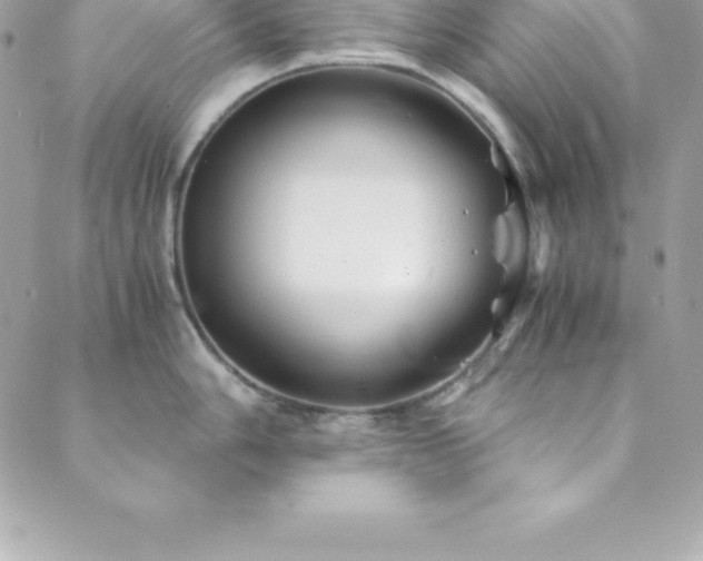 X0000089921006200706291124