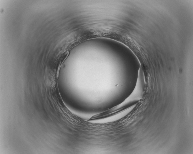 X0000089921012200706291123
