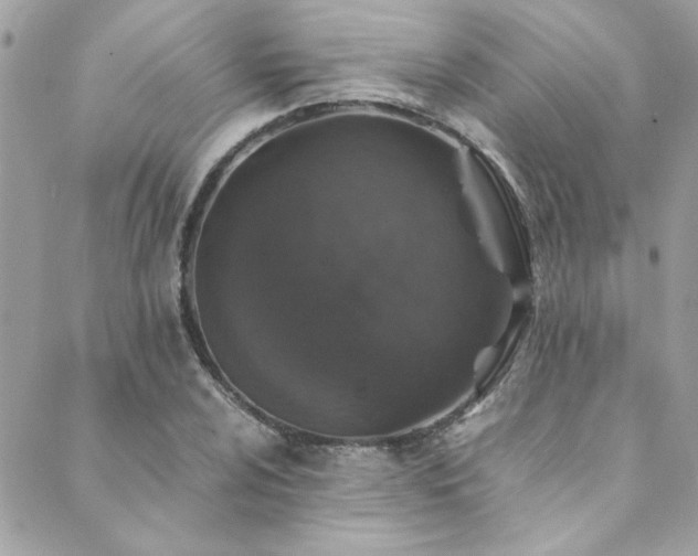X0000089921024200706291123