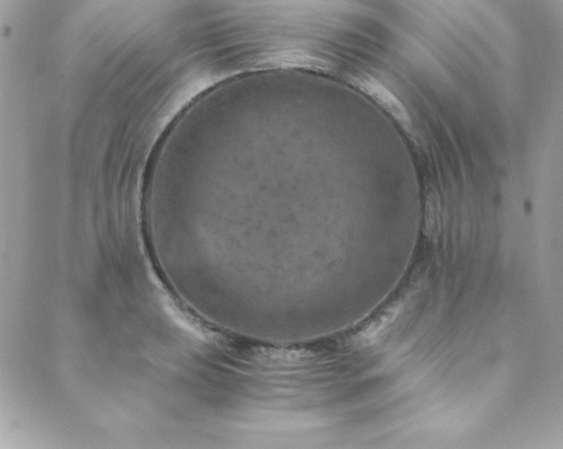 X0000089921039200706291124