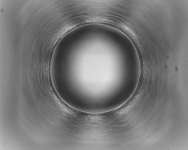 X0000089921041200706291124