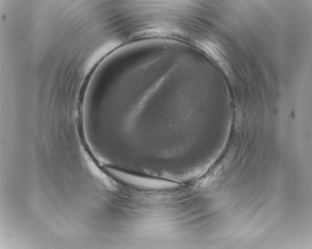 X0000089921042200706291124