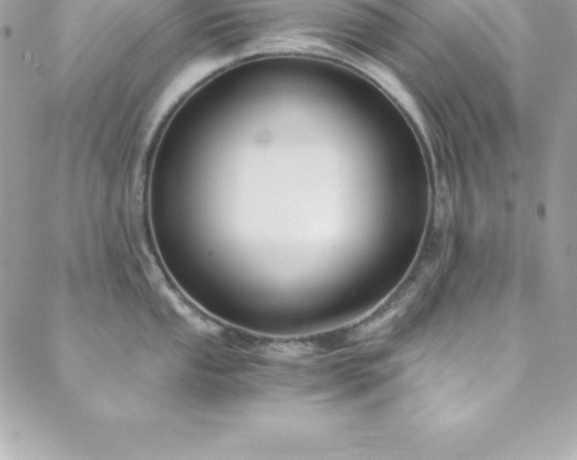 X0000089921053200706291124