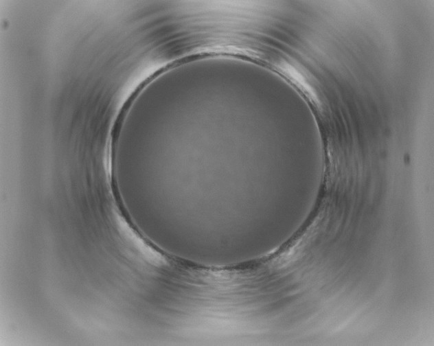 X0000089921084200706291123
