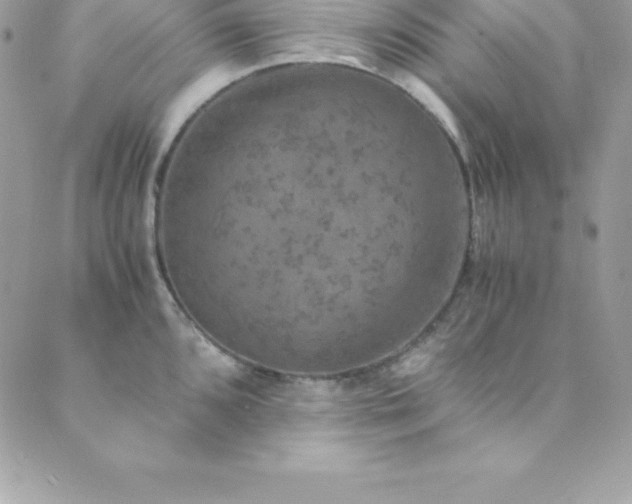 X0000089921096200706291122