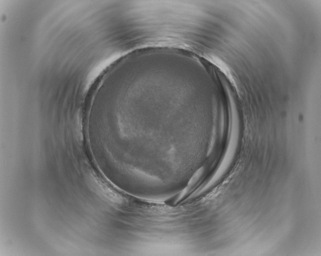 X0000089921120200706291122