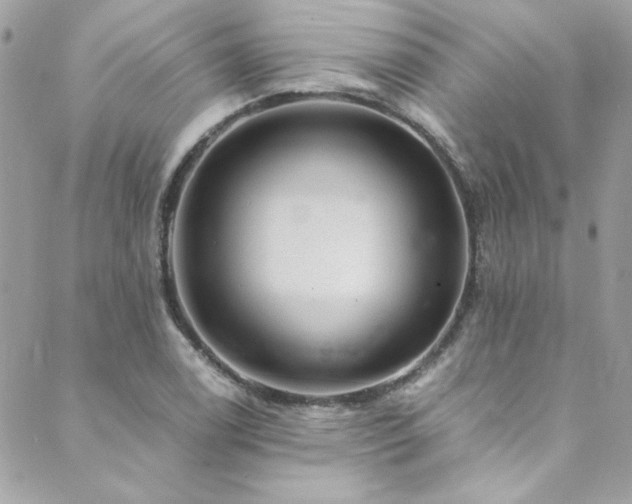 X0000089921122200706291122