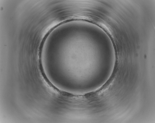 X0000089921133200706291122