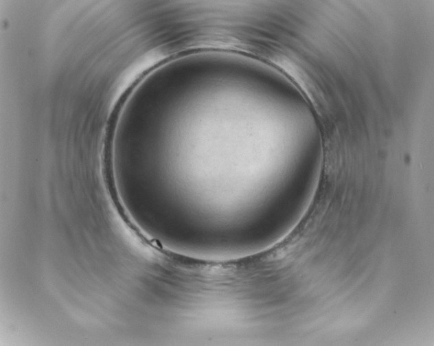 X0000089921139200706291122