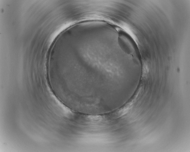 X0000089921142200706291122