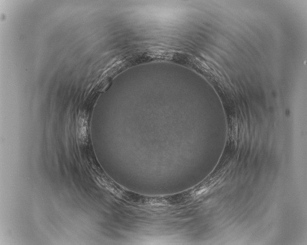 X0000089921154200706291121
