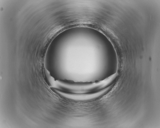 X0000089921169200706291121