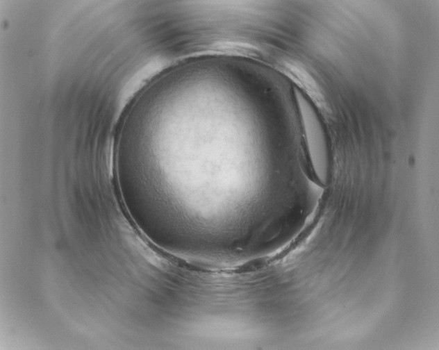X0000089921180200706291121