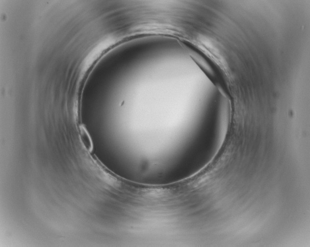 X0000089921188200706291121