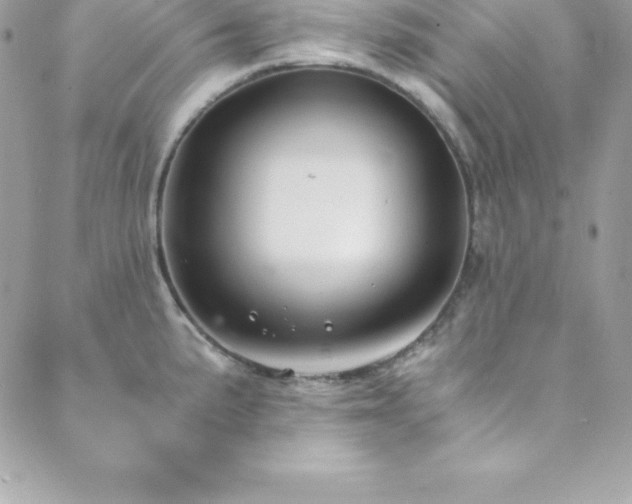 X0000089921191200706291121