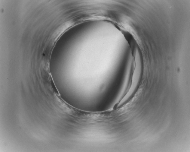 X0000089921193200706291121