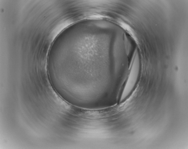 X0000089921194200706291121