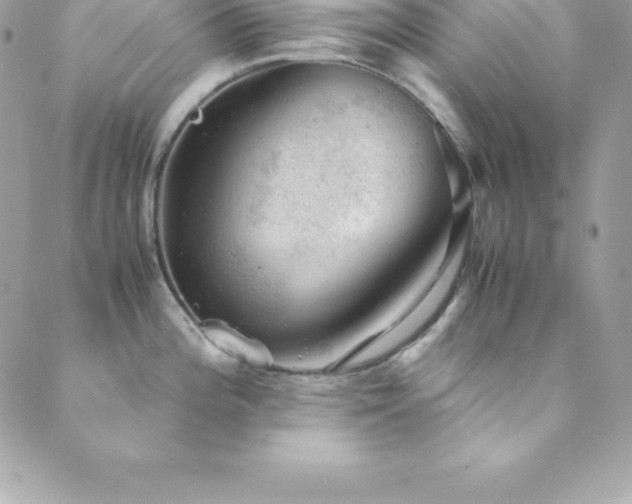 X0000089921196200706291121