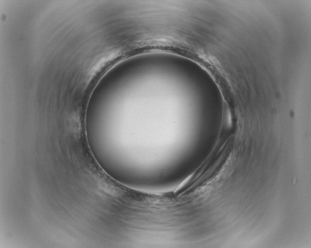 X0000089921218200706291120
