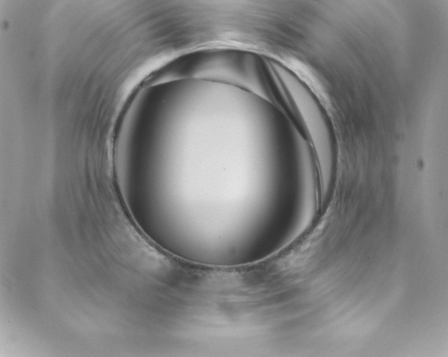 X0000089921238200706291120