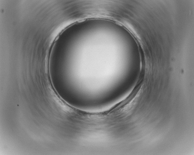 X0000089921246200706291121