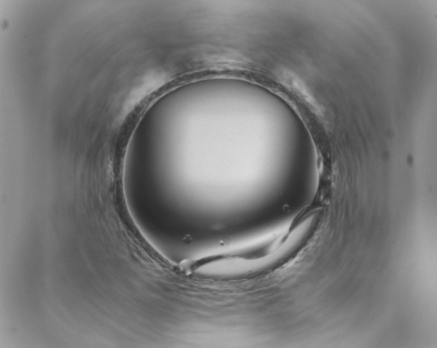 X0000089921261200706291120
