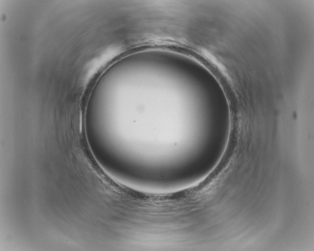 X0000089921269200706291119