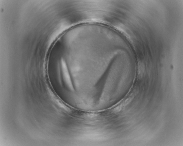 X0000089921278200706291119