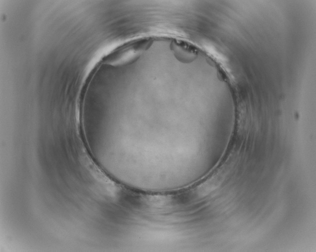 X0000089921280200706291119