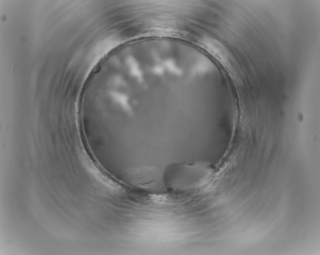 X0000089921283200706291119