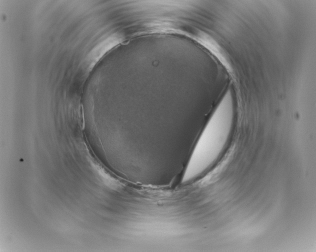 X0000089921289200706291119